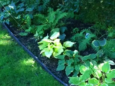 Plant Bed Installations, New Haven, CT Plant Bed Installations, New Haven, CT